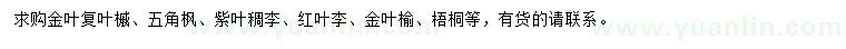 求購金葉復(fù)葉槭、五角楓、紫葉稠李等