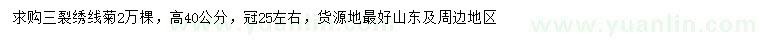 求購(gòu)高40公分三裂繡線菊