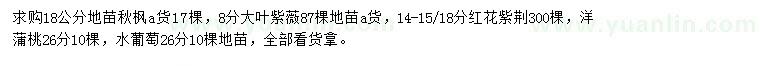 求購秋楓、大葉紫薇、紅花紫荊等