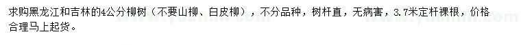 求購4公分柳樹