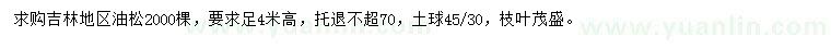求購(gòu)高4米油松