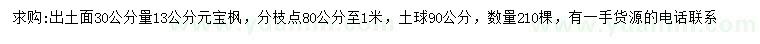求購(gòu)30量13公分元寶楓