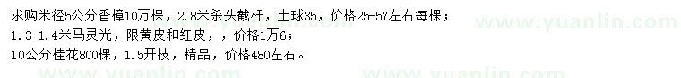 求購香樟、馬靈光、桂花