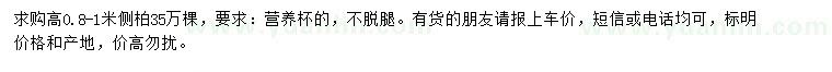 求購高0.8-1米側柏