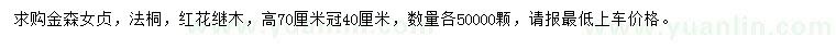 求購金森女貞、法桐、紅花繼木