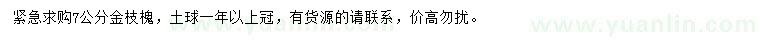 求購7公分金枝槐