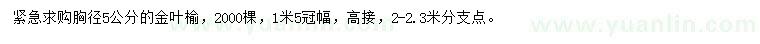 求購(gòu)胸徑5公分金葉榆