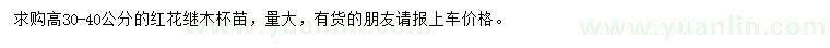 求購高30-40公分紅花繼木杯苗