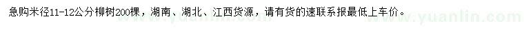 求購米徑11-12公分柳樹