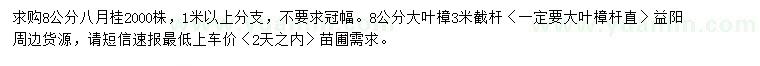 求購八月桂、大葉樟