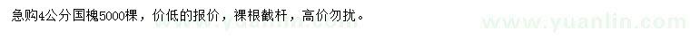 求購4公分國槐