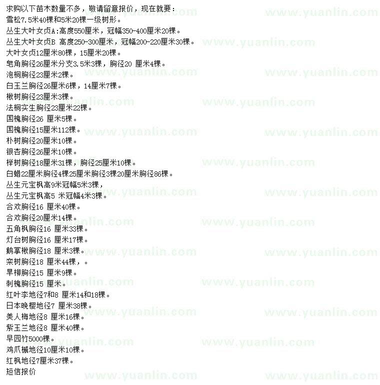 求購雪松、叢生大葉女貞、皂角等