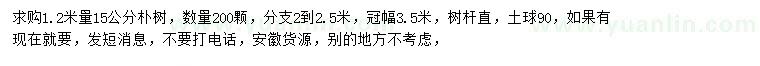 求購1.2米量15公分樸樹