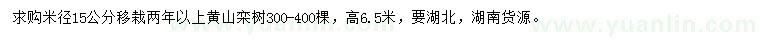 求購米徑15公分黃山欒