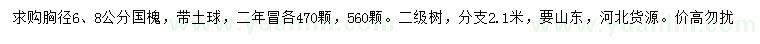 求購胸徑6、8公分國槐