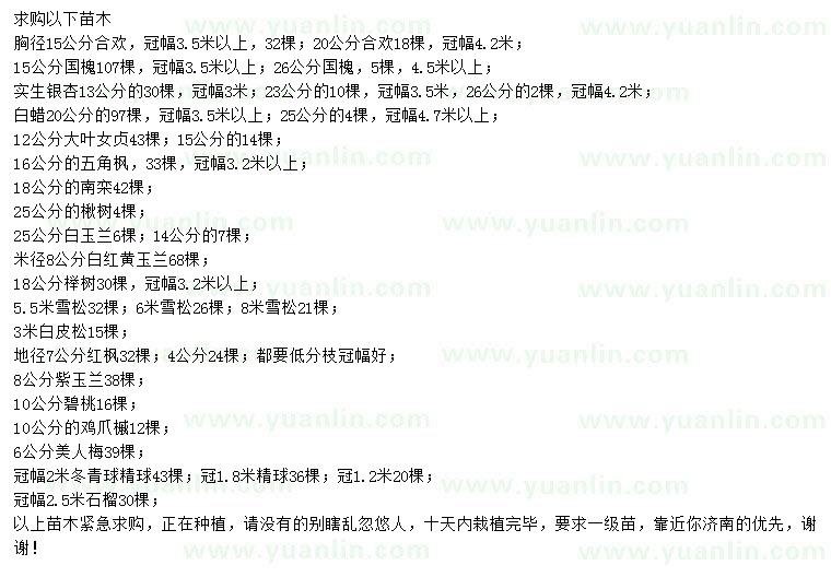求購(gòu)雪松、國(guó)槐、合歡等