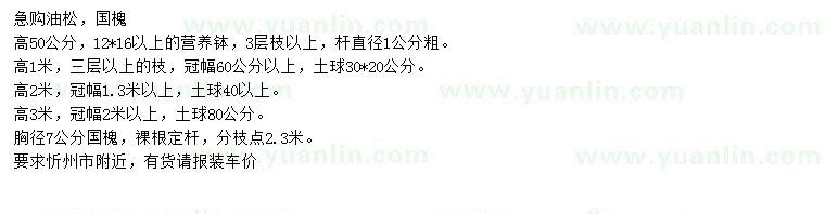 求購(gòu)高0.5-3米油松、胸徑7公分國(guó)槐