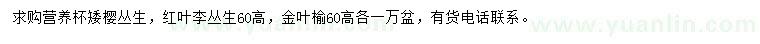 求購矮櫻、紅葉李、金葉榆