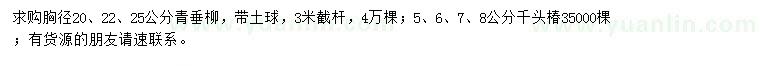求購青垂柳、千頭椿