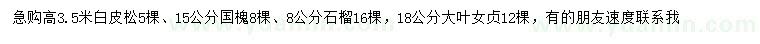 求購(gòu)白皮松、國(guó)槐、石榴樹(shù)等