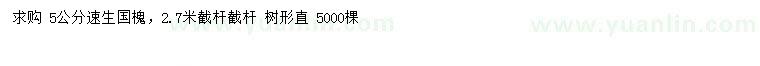 求購5公分速生國槐