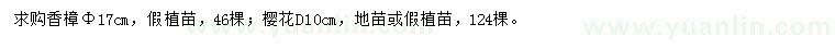 求購胸徑17公分香樟、地徑10公分櫻花