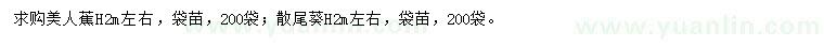 求購高2米左右美人蕉、散尾葵