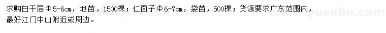 求購白千層、仁面子