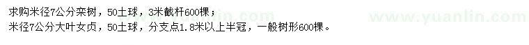 求購米徑7公分欒樹、大葉女貞