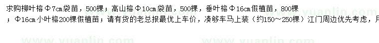 求購柳葉榕、高山榕、垂葉榕等