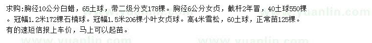 求購白蠟、女貞、石楠球等