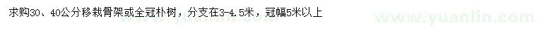 求購(gòu)30、40公分樸樹(shù)