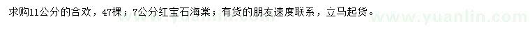 求購11公分合歡、7公分紅寶石海棠