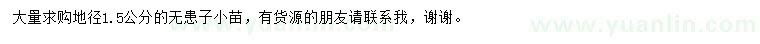 求購(gòu)地徑1.5公分無(wú)患子小苗