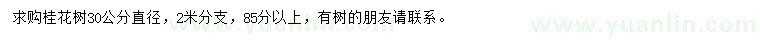 求購直徑30公分桂花樹
