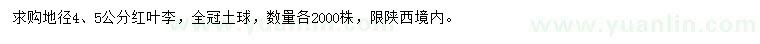 求購地徑4、5公分紅葉李