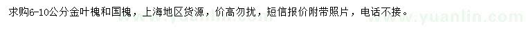 求購6-10公分金葉槐、國(guó)槐