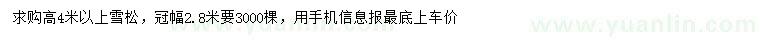 求購高4米以上雪松