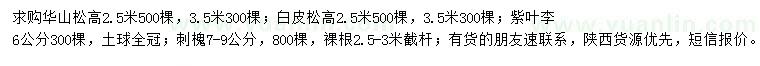 求購華山松、白皮松、紫葉李等