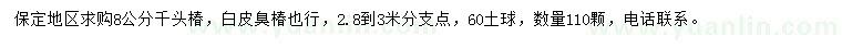 求購8公分千頭椿