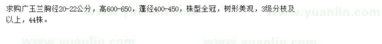 求購胸徑20-22公分廣玉蘭