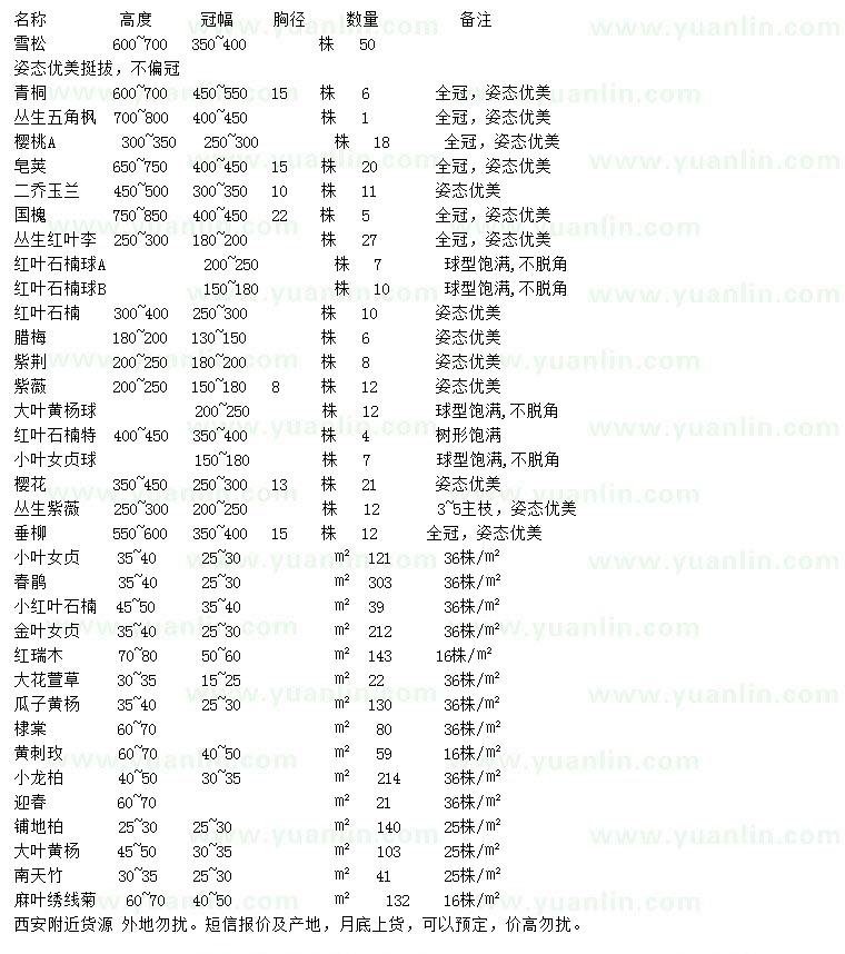 求購雪松、青桐、叢生五角楓等