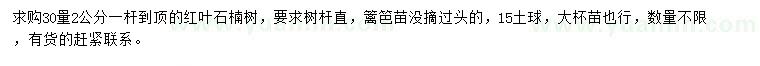 求購(gòu)30量2公分紅葉石楠樹(shù)