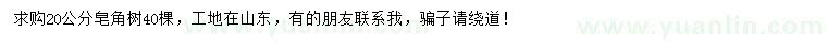 求購(gòu)20公分皂角樹(shù)