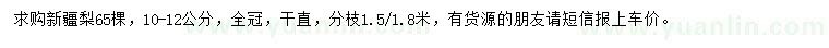 求購10-12公分新疆梨