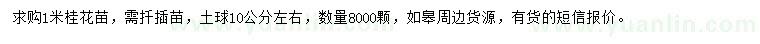 求購1米桂花苗