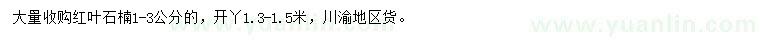 求購(gòu)1-3公分紅葉石楠