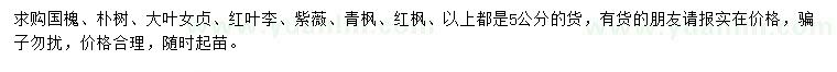 求購(gòu)5公分國(guó)槐、樸樹(shù)、大葉女貞等