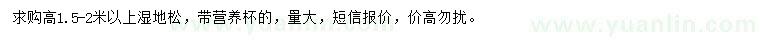 求購高1.5-2米以上濕地松