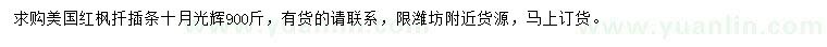 求購美國紅楓扦插條十月光輝
